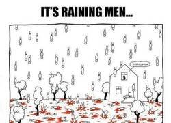 Enlace a Si la canción hubiese sido cierta...