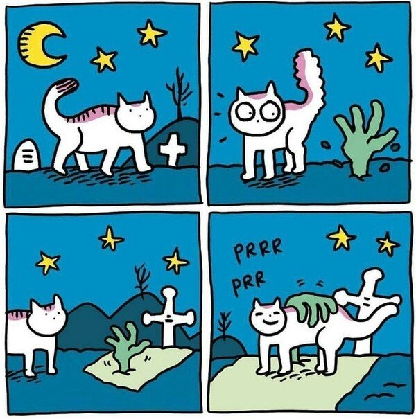 Meme_otros - Ni bajo tierra puedes resisitirte a acariciar un gato