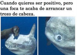 Enlace a La vida no se lo está poniendo fácil