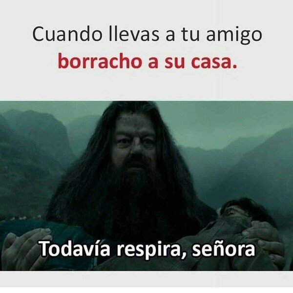 Meme_otros - Aquí se lo dejo