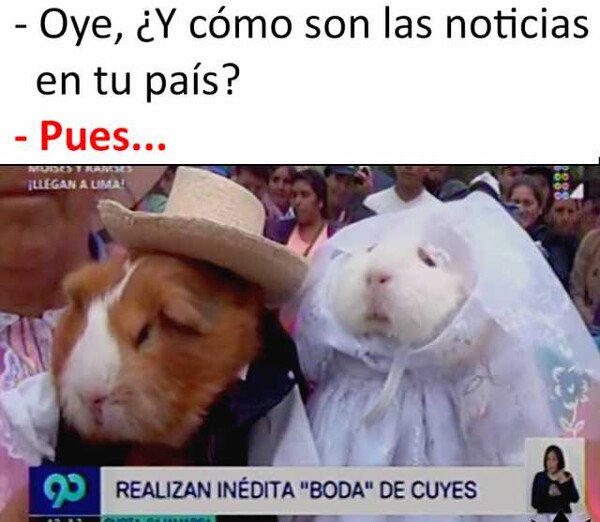 Meme_otros - Noticias de interés general