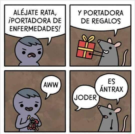 Meme_otros - Las ratas nunca portan nada bueno