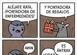 Enlace a Las ratas nunca portan nada bueno