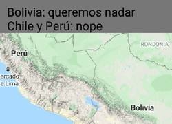 Enlace a El mundo es el peor troll