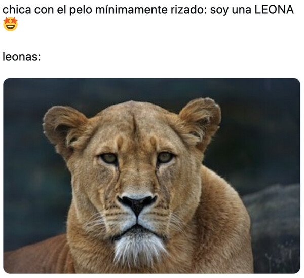 Otros - No sé dónde ven el parecido...