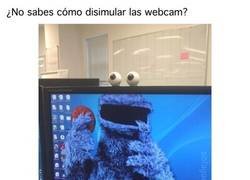 Enlace a Todo un monstruo del camuflaje