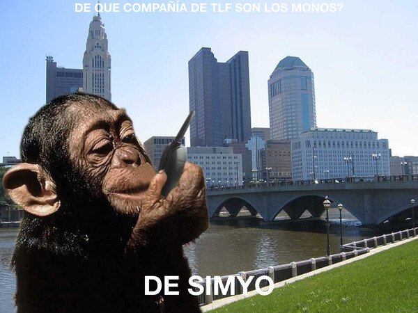 Meme_otros - La compañía de teléfono