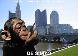 Enlace a La compañía de teléfono