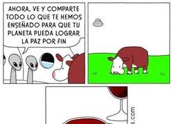 Enlace a Sabrosos conocimientos...