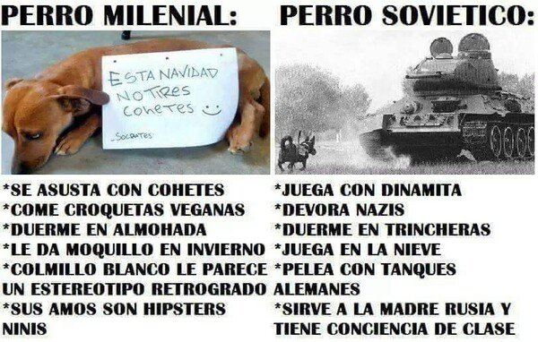 Meme_otros - El perro se ha ido aburguesando con el tiempo