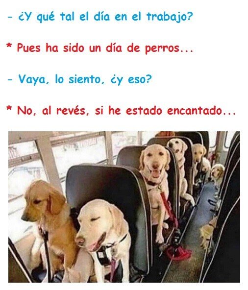 Meme_otros - Más de uno firmaría por tener un trabajo así...