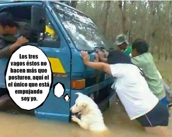 Meme_otros - Ojo, es un meme; los perros no tienen capacidad cognitiva para tener este diálogo interno...