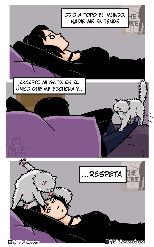 Otros - Respeto gatuno