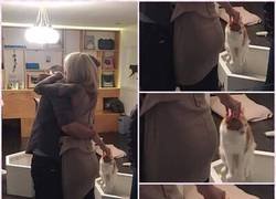 Enlace a Cuestión de prioridades