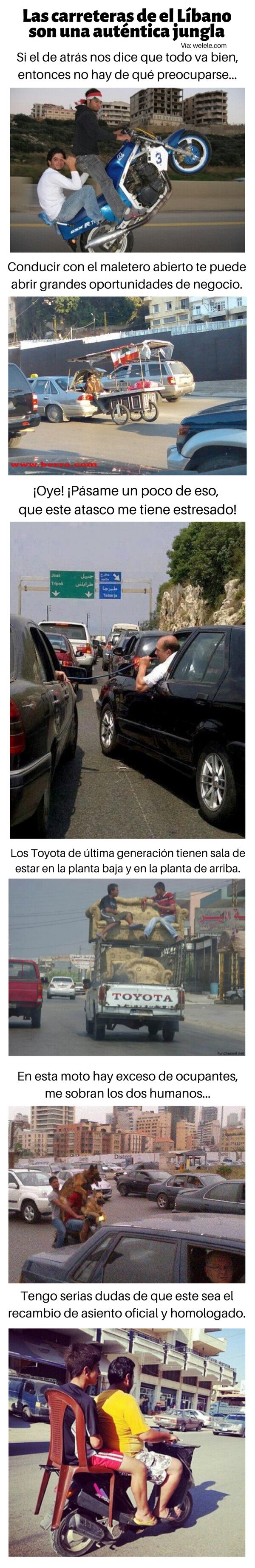 Meme_otros - Las carreteras de El Líbano son una auténtica jungla
