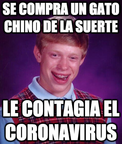 bad luck brian,china,coronavirus,gato,suerte