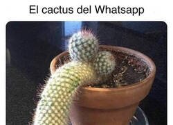 Enlace a Próximamente en sus chats y grupos habituales...