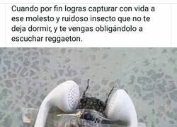 Enlace a ¿Quién escucha ruidos ahora, eh?