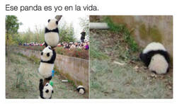 Enlace a Me representa.