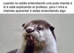 Enlace a Oh, qué interesante...