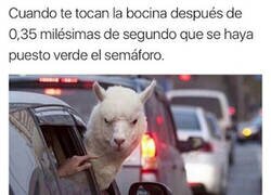 Enlace a El ansia viva de algunos