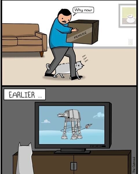 Meme_otros - El gato aprende lo que ve por la tele