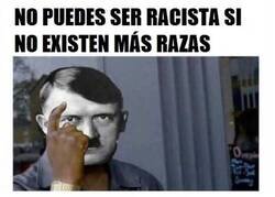 Enlace a El pobre Adolf solo quería erradicar el racismo...