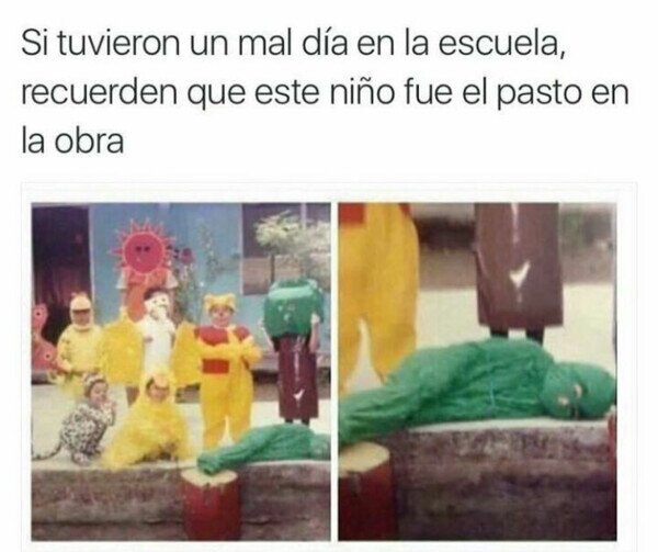 Meme_otros - El niño haciendo de césped me reconforta