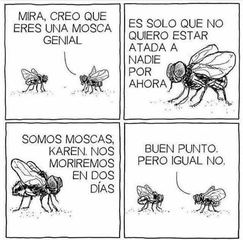 Meme_otros - No te mosquees...