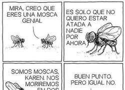 Enlace a No te mosquees...