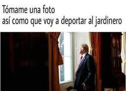 Enlace a En cuanto acabe de podar las arizónicas