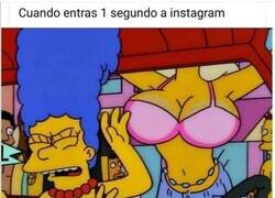 Enlace a Entre los bots y lo que no son bots...