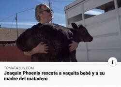 Enlace a Esas vacas debieron sentir una gran tristeza