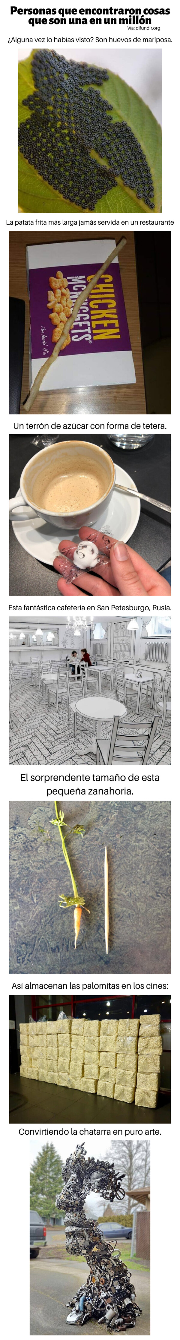 Meme_otros - Personas que encontraron cosas que son una en un millón