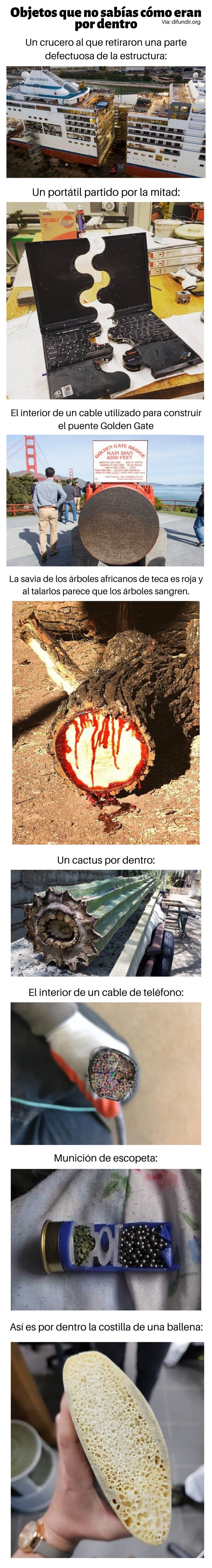 Meme_otros - Objetos que no sabías cómo eran por dentro