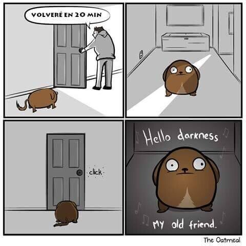 perro,casa,solo,puerta,triste