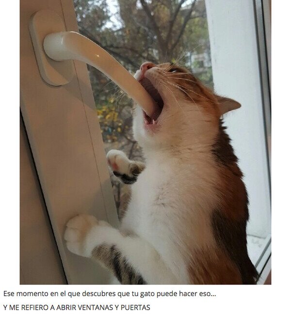 Otros - No seais mal pensados