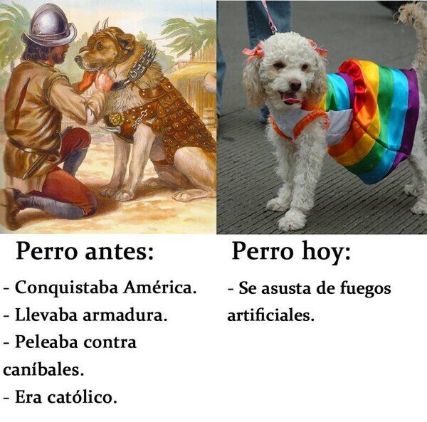 Meme_otros - Una especie venida a menos