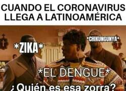 Enlace a Ponte a la cola, coronita