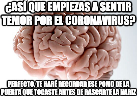 Cerebro_troll - Ahora vivo con miedo constante