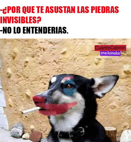 Joker,meme,perro,piedras,correr,sneiksnake,ss