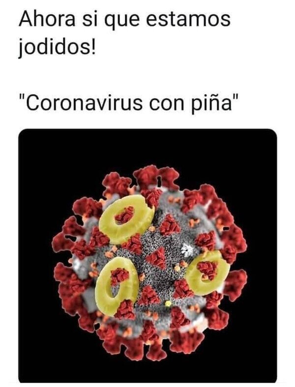 coronavirus,piña