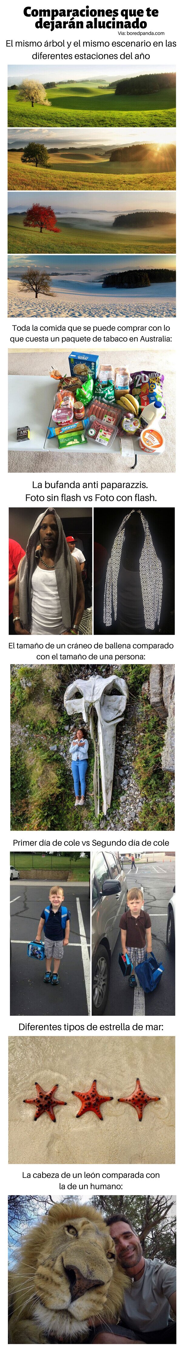 Meme_otros - Comparaciones que te dejarán alucinado