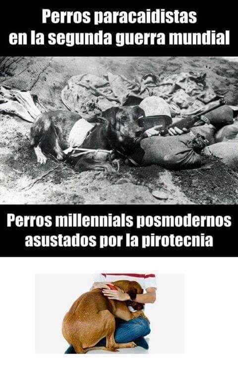 Meme_otros - Estos perros ya no son lo que eran