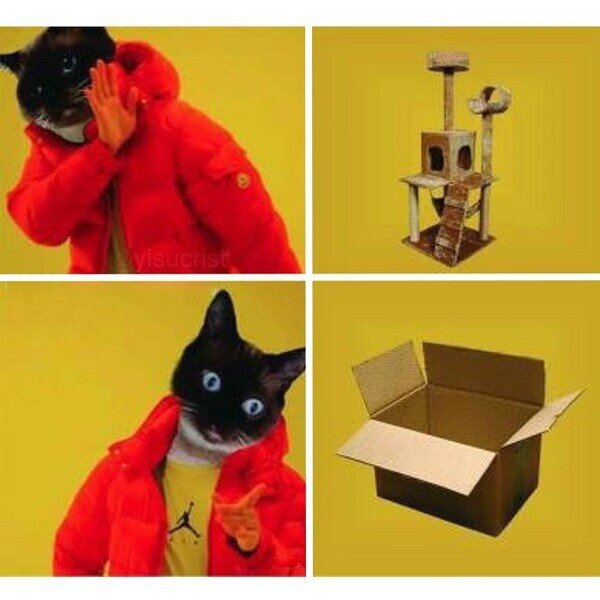 Otros - Nada como una caja de cartón para ellos