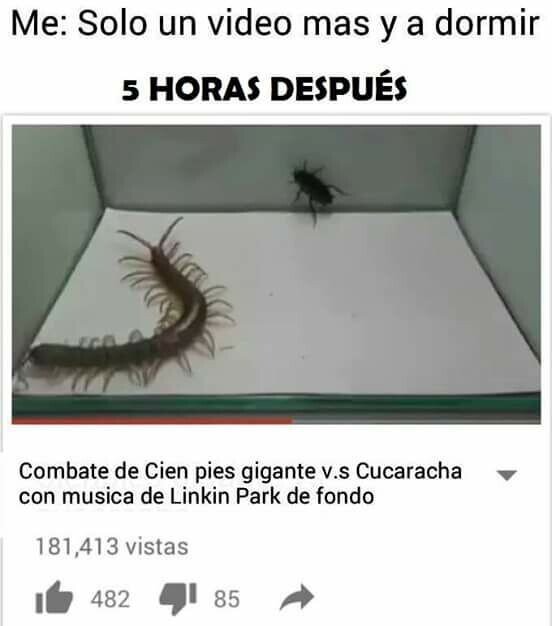 Otros - Eso no me lo podía perder...