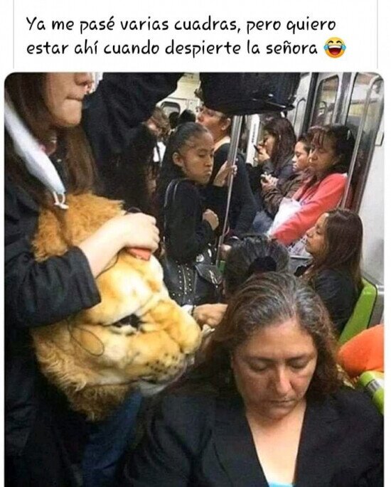 Otros - Pagaría por ver su reacción