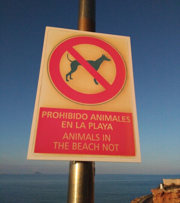 Otros - Una traducción digna de Harvard