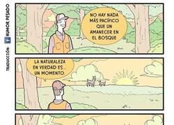 Enlace a Estos animales no me dejan disfrutar de la naturaleza