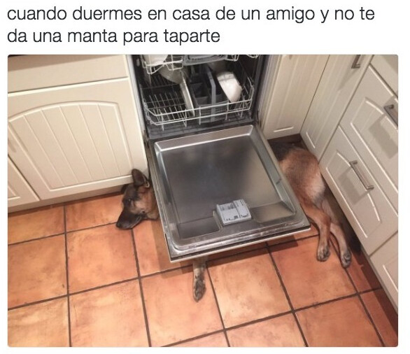 Otros - Se la tendría que haber pedido...